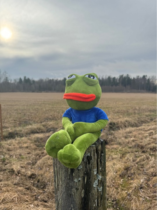 SAD PEPE®